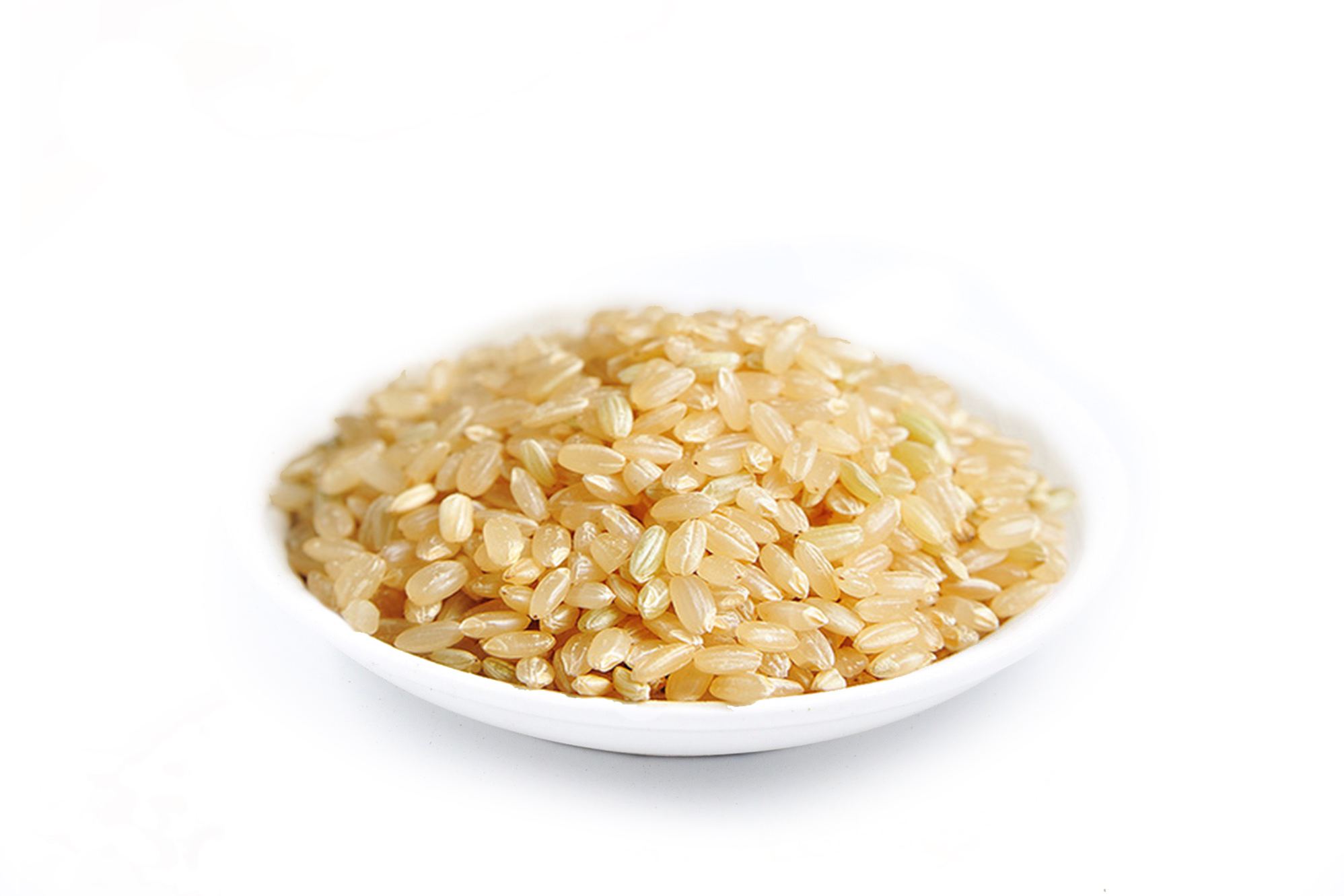 Brown Rice Extract